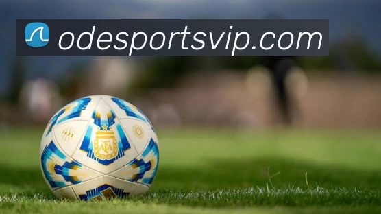 OD电竞服务平台生态图